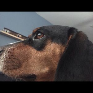 Meet your Posher, Bill